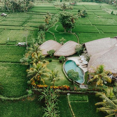 Villa Omah Padi Ubud Dış mekan fotoğraf