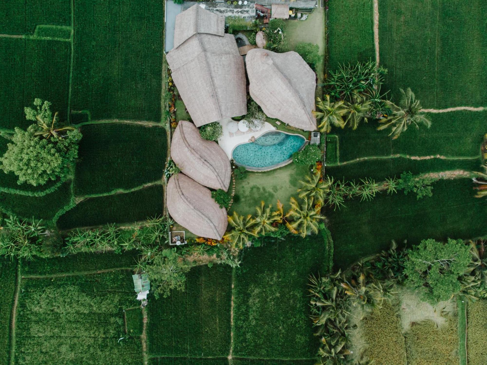 Villa Omah Padi Ubud Dış mekan fotoğraf